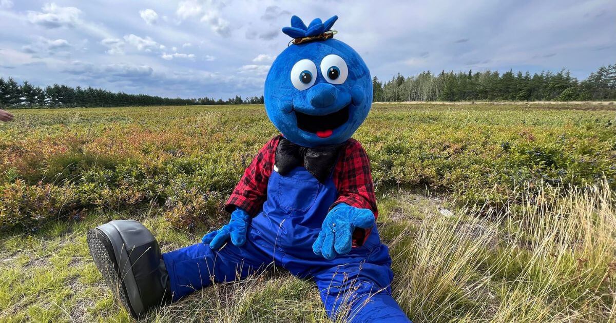 10 festivals d'été à vivre au Québec, loin des grandes foules